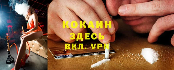 спайс Алзамай