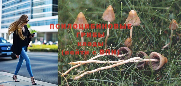 МДМА Алексеевка