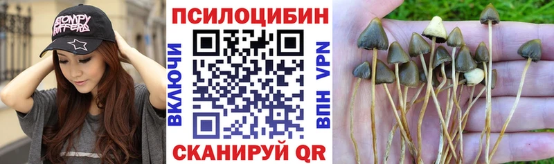 Галлюциногенные грибы Cubensis  Данков 